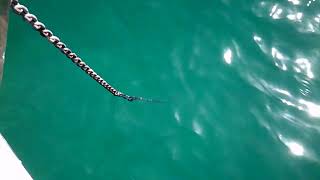 Fondeados en la playa de los franceses, La Graciosa