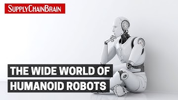 The Wide World of Humanoid Robots
