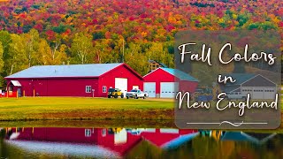 Fall Foliage in New England | Peak Fall Foliage | Autumn Fall Foliage