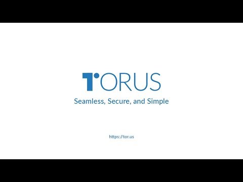 Access Blockchains and the Decentralised Web Easily with Torus