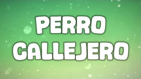 Walls, Waor - Perro Callejero || LETRA