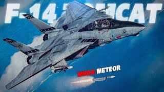 Modernized F14 Tomcat + Meteor Missile Vs Su35 FlankerE  | Digital Combat Simulator | DCS |