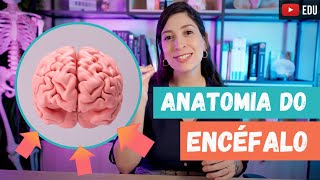 ANATOMIA geral do ENCÉFALO! ANATOMIA geral do ENCÉFALO!