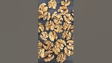 2025 New185 walnut kernels are just in season.  ☎️ Office: +86 0531 85891505 #185walnutinshell