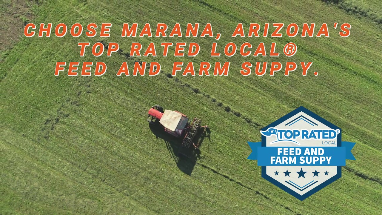 Affordable, HighQuality Hay In Marana, Arizona Triple L Feed & Supply YouTube