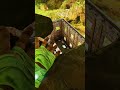 Thylas Into The Grinder #arksurvivalascended #gamer #arksurvivalevolved #gaming #gameplay #dinosaur