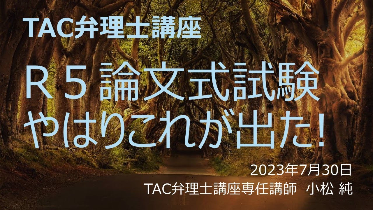 DVD講座 2019 TAC 弁理士 論文ファイナルチェック DVD講座 2019 TAC
