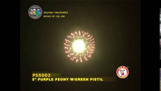 SB125PE13 - 5 INCH SHELL - WIZARD FIREWORKS - PS5002