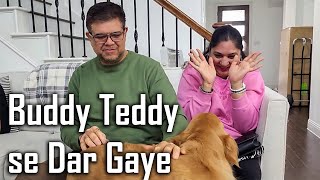 Our Friends who are Scared of Dogs Meet Buddy Tedddy for the First Time 😂 by Our American Dream 8,505 views 2 months ago 12 minutes, 35 seconds