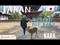 Tagestrip Nara |Japan Vlog - 12 Tage mit Baby Tag 6 |4K 2023