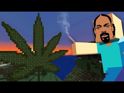 snoop dogg smoking weed everyday