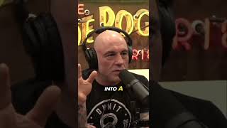 Quantum Computing PROVES Multiverse? - Joe Rogan Experience