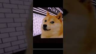 obunga dark City very shocking face 👹👹👹👹🏃🏃🏃🗺️😭😭#gaming #shots