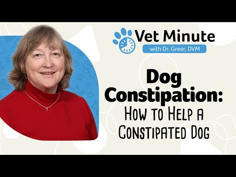Video: Vraag het aan een dierenarts: 6 Oorzaken van canine constipatie