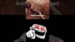 @Hakareditz777 #trollface