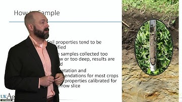 Soil testing part 1: Introduction to soil sampling