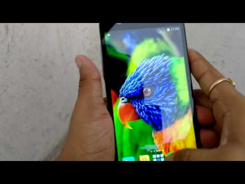 First Impression of Infocus M530
