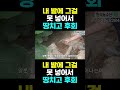 [한국농수산TV] 농사는 과학이다!! 내 밭에 안 넣어서 정말 후회한 그것! 속터져~