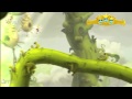 Rayman legends  orchestral chaos  all teensies