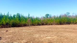 Lots 23, 24, 25, 26 & 27 Mineral Springs Rd - 27 .7 ACRES - Santa Rosa County, FL