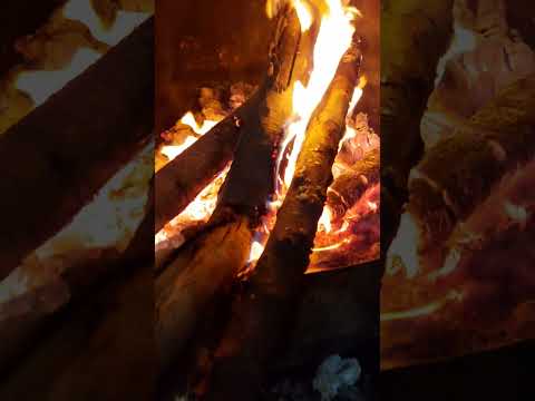 بر جان من آتش بزن هایده هایده زیبایی اتش پاییز وایرال شب مستی