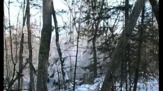 Дальневосточный леопард Amur Leopard 2 Дальневосточный леопард Amur Leopard 2