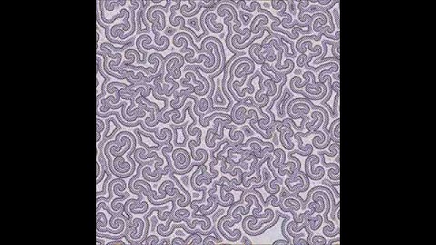 Reaction-Diffusion Gray-Scott 025