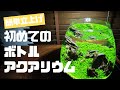 【ボトルアクアリウム】初心者でも簡単立ち上げ山岳風？レイアウト