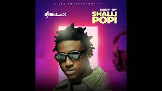 DJ SELEX BEST OF SHALLIPOPI MIXT