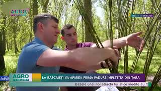 La Răscăieți va apărea prima pădure împletită din țară – AGRO TV News