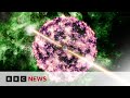 Scientists discover cause of brightest-ever burst of light | BBC News
