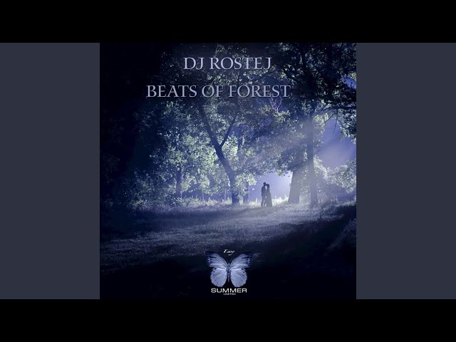 Dj Rostej - Beats of Forest
