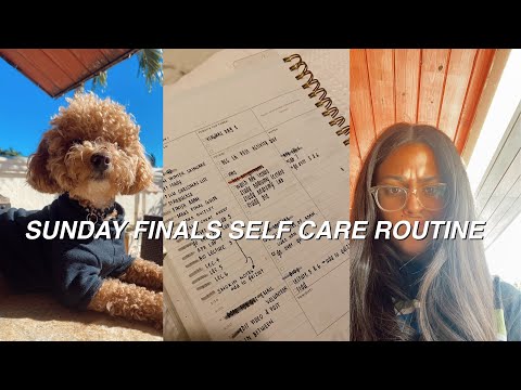 SUNDAY FINALS SELF CARE NIGHT IN MY LIFE ♡ VLOGMAS DAY 14 | university of florida