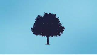 An Introduction to InforMEA