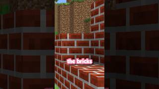 Celebrity I REALLY Miss the Old Minecraft Textures Net Worth