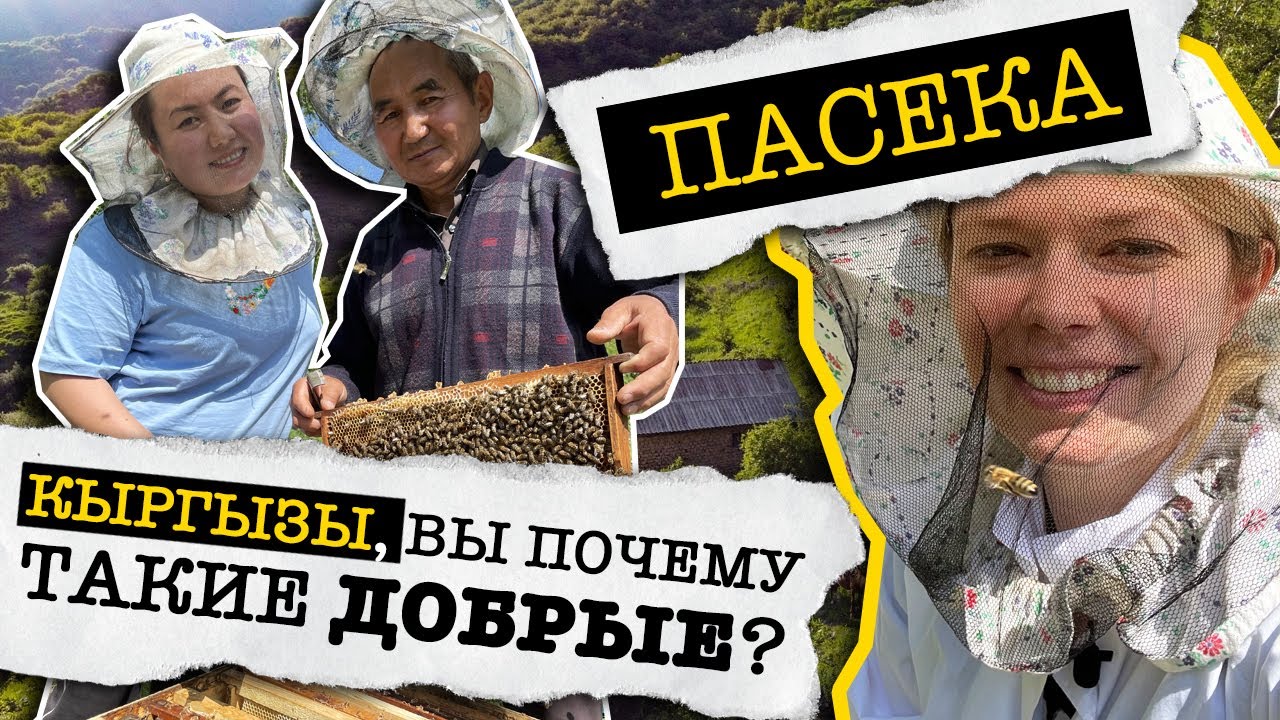 ПАСЕКА: самый ДОБРЫЙ ролик на ЮТУБЕ // Узген // КЫРГЫЗСТАН 2021