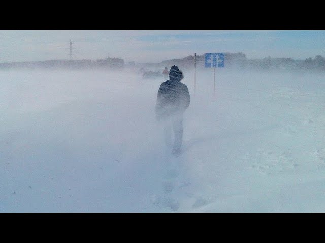 GODRIC V.E.G. | FM154 - Метель