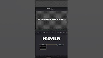 How To Change Individual Words/Characters in One Text+ Title (DaVinci Resolve)