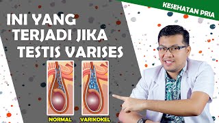 VARIKOKEL ATAU VARISES TESTIS - DOKTER SADDAM ISMAIL