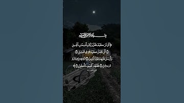 #سورة_الفيل القارئ #خالد_الجليل