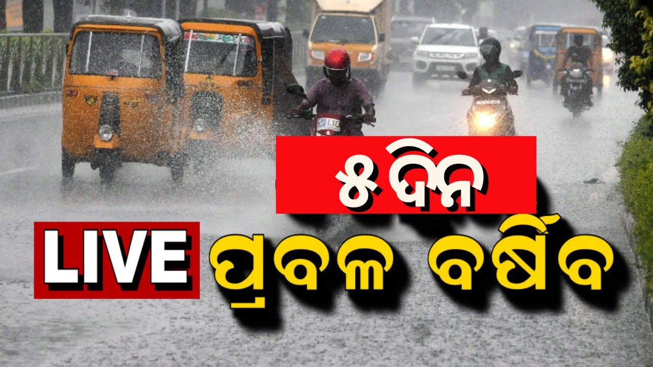 Odisha Rain Live: ୫ ଦିନ ପ୍ରବଳ ବର୍ଷା ଆଲର୍ଟ | Weather Update News | IMD Issues Rain Alert