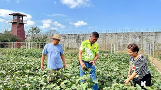 Provincial Jail of Ilocos Sur: Bakit Successful Learning Site at Farm School sa Organic Farming?