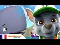 Paw Patrol : la Pat'Patrouille | Baleines 🐳| Nick Jr.