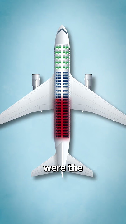 The Plane That Crashed On Purpose 😱 (EXPLAINED)