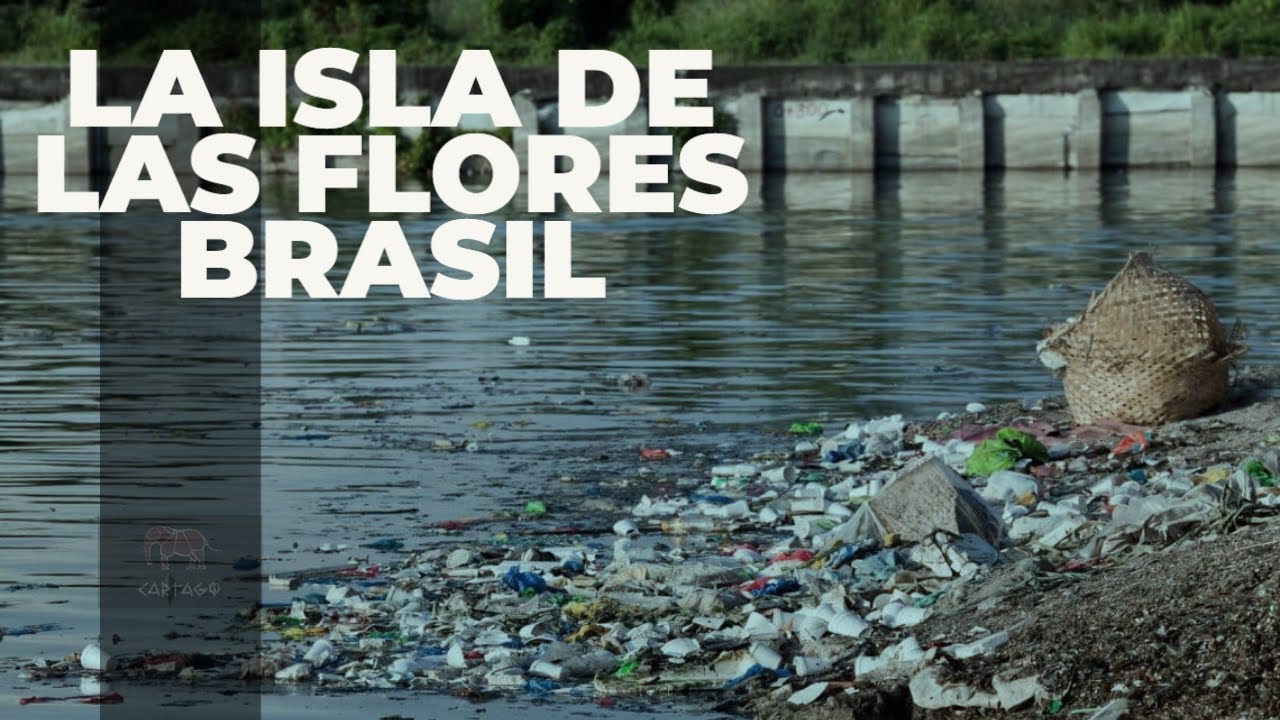 CARTAGO LA ISLA DE LAS FLORES DOCUMENTAL BRASIL - YouTube