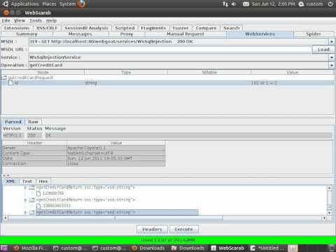 Web Service SQL Injection