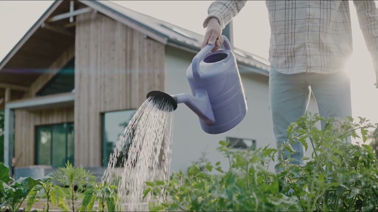 The All Black Bloom Your Goth Garden  
