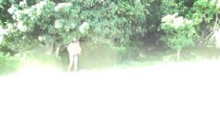 Cavalinho No Papai Cc