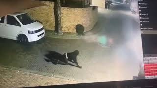 Criminals crawling through a complex