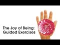 Free Joy of Being Guided Practice